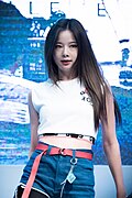 솔지