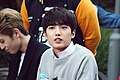 선율