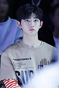 안형섭