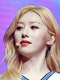 의진